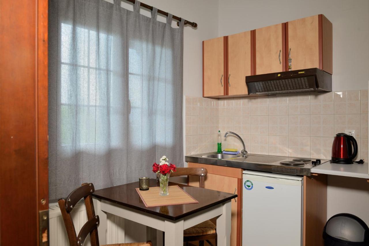 Artemis Apartments Konitsa Luaran gambar