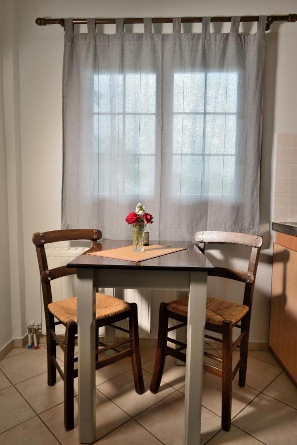 Artemis Apartments Konitsa Luaran gambar