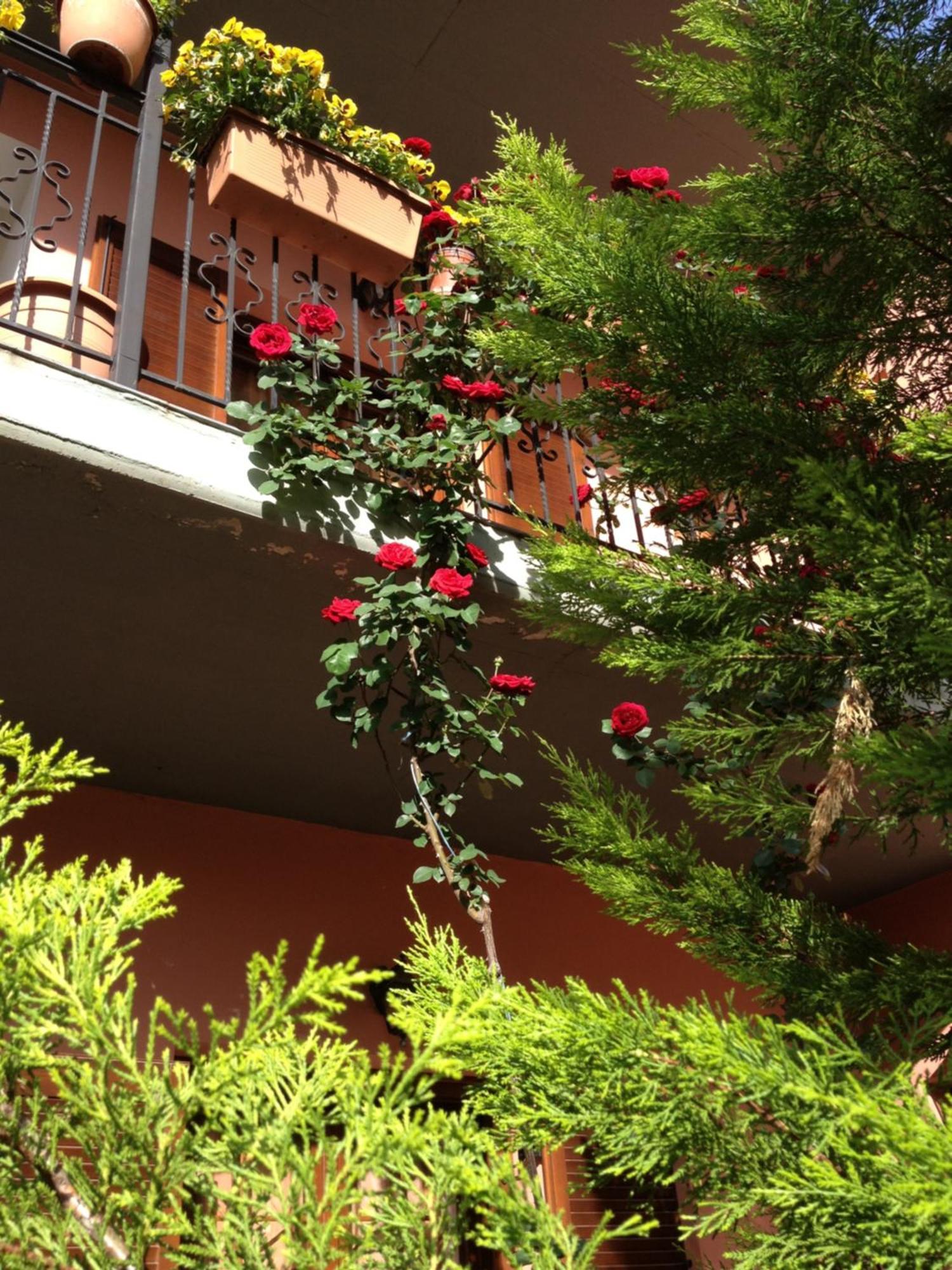 Artemis Apartments Konitsa Luaran gambar