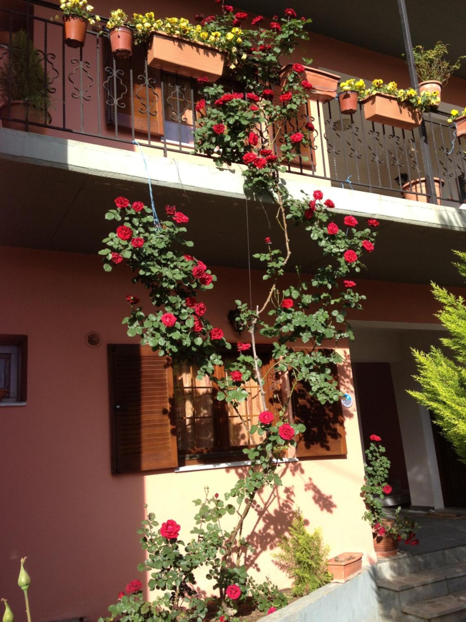 Artemis Apartments Konitsa Luaran gambar