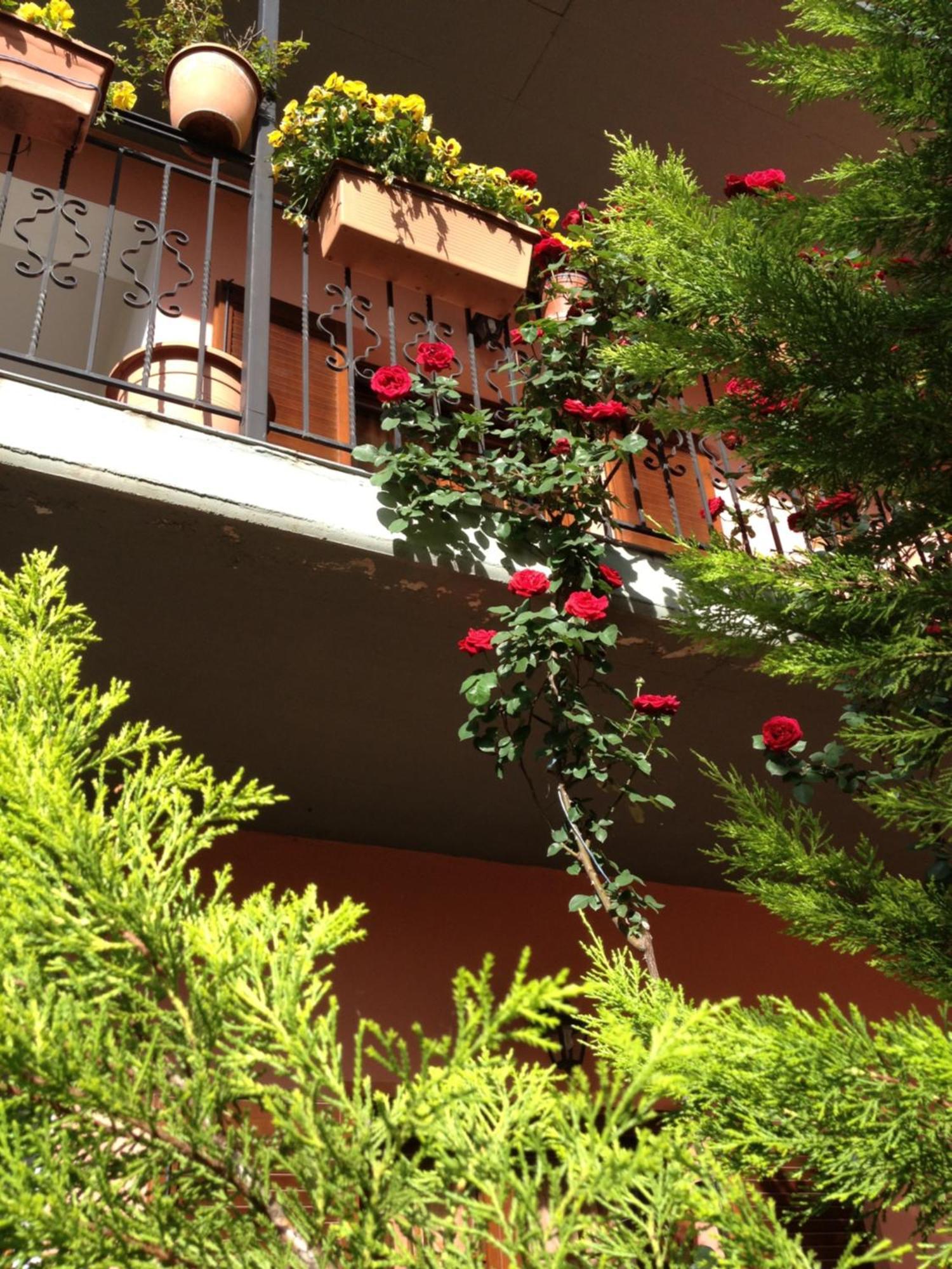Artemis Apartments Konitsa Luaran gambar