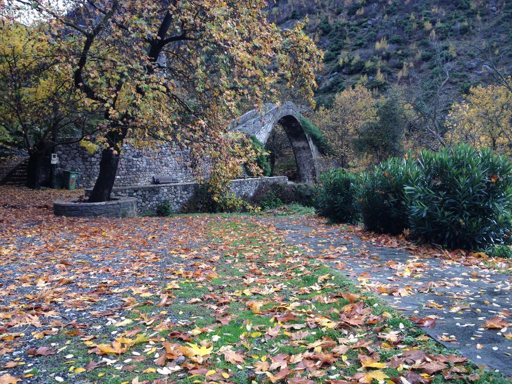 Artemis Apartments Konitsa Luaran gambar