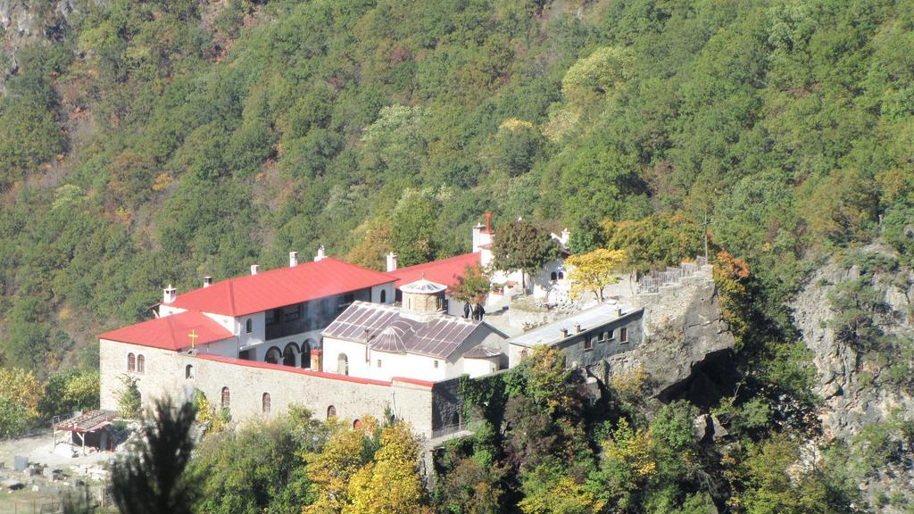 Artemis Apartments Konitsa Luaran gambar